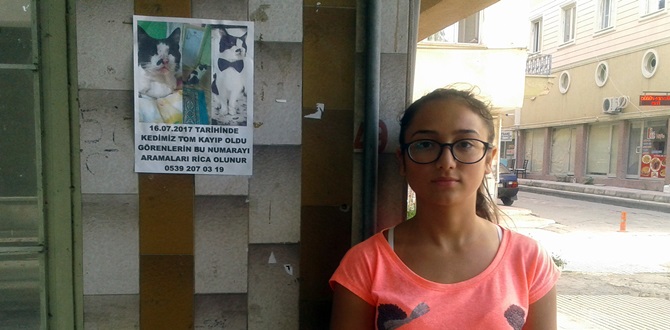 Lise Öğrencisi Kedisi “Tom”u Arıyor