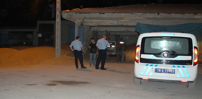 Buğday Çalan Hırsızları Balkondan gördü