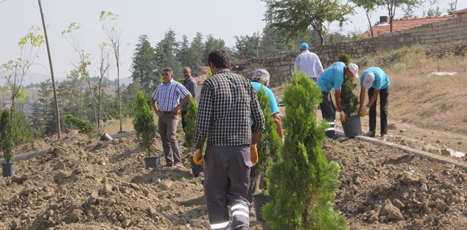 920 Fidan Toprakla Buluştu