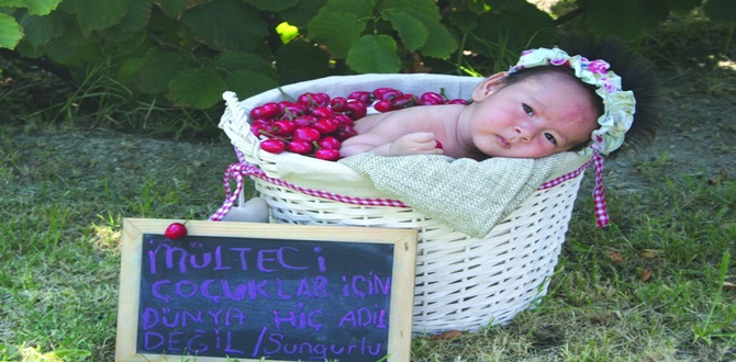 Mültecilerin Sıkıntılara Dikkat Çektiler