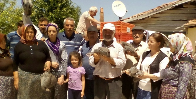 Doğaya Sülün ve Keklik Salındı