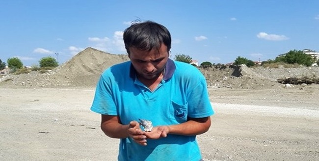 Yaralı Kanaryaya Sahip Çıktı