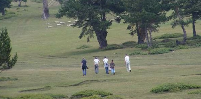 Kargı’da Piknik Alanları Temizlendi