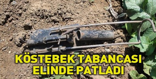 Kurduğu Tuzak Elinde Patladı