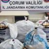Jandarmadan Şafak Operasyonu