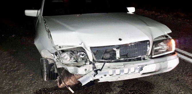 Otomobili İle Domuza Çarptı