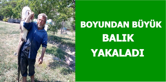 Kızılırmak’ta Dev Yayın Balığı Yakalandı