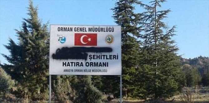 Tabeladan Ne İstediniz?