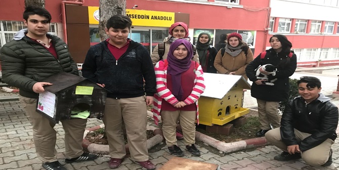 Öğrencilerden Sokak Kedilerine Sıcak Yuva