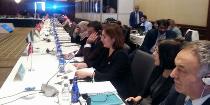 Ceritoğlu’nun, Başlattığı Projeler Ülkelere Örnek Oldu