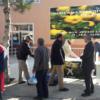 Dodurga’da “Ayva Günleri” Başladı