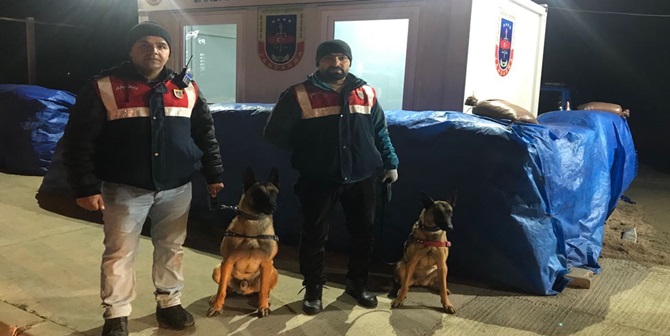 “Süper Burunlar” Yakalıyor