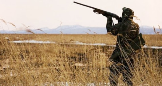 Domuz Avında Kendini Vurdu