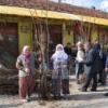 Laçin Üreticilere Ceviz Fidanı Dağıtıldı