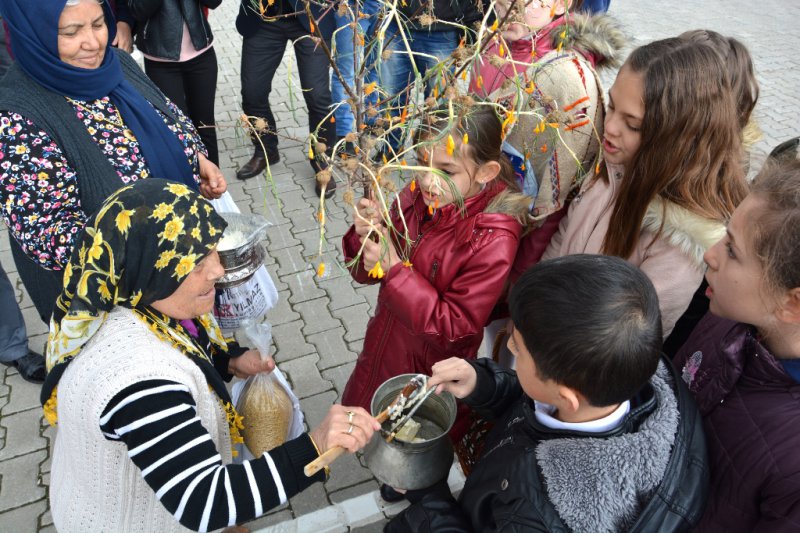 Çiğdem Aşı Şenlikleri Yapıldı