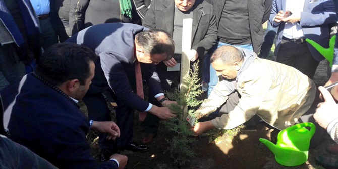 41 Şehidimiz İçin 41 Fidan