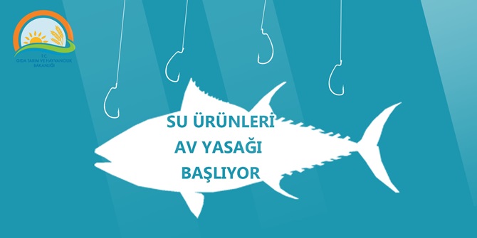 Av Yasağı Başladı