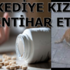 Kedinin Güvercini Yemesine Dayanamadı
