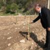 Dodurga’da Ağaçlandırma Seferberliği