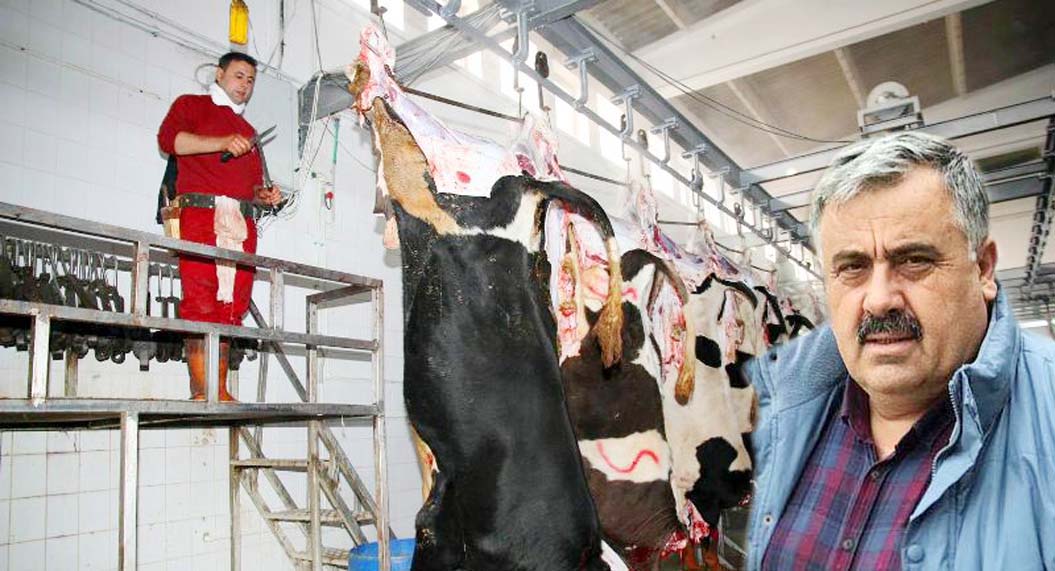 Gür’ den, Kesimhanelere Uyarı