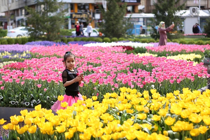 Çorum Lalelerle Donatıldı