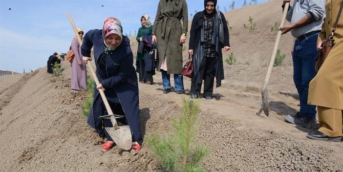 KKSM’ler Ağaç Dikti