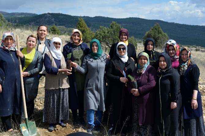 Kargı AK Kadınlar Fidan Dikti
