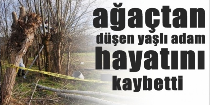 Ağaçtan Düşen Şahıs Öldü