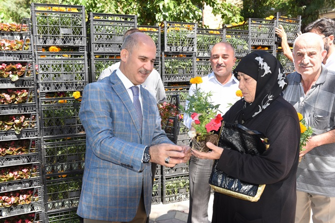 Belediye 60 Bin Çiçek Dağıtacak