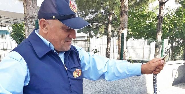 Camiye Giren Yılan Panik Yarattı