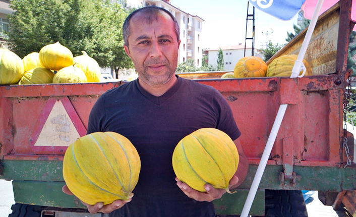 Meşhur Kavun Tezgahta Yerini Aldı
