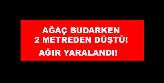 Ağaç Budarken Yere Düştü