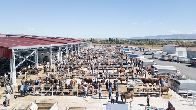 Çorum’da Hayvan Pazarı Hareketlendi