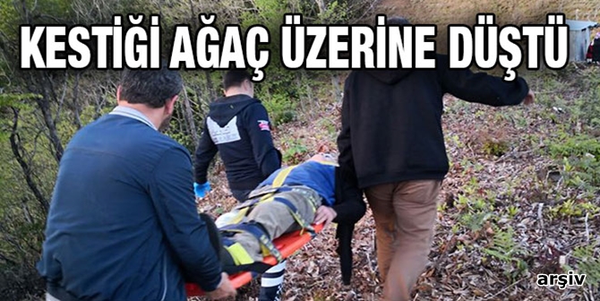 Kestiği Ağaç Üzerine Düştü