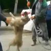 Belediyenin Uygulamasına Tepki Yağdı