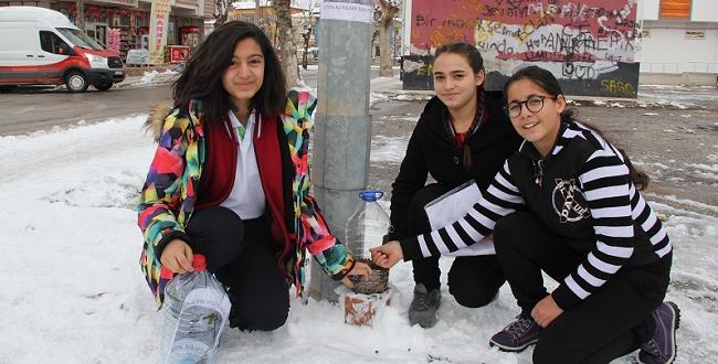 Öğrenciler Sokak Hayvanları İçin Seferber Oldu