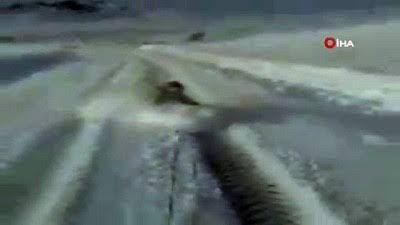 Kızakla Kayarak Karın Tadını Çıkardı