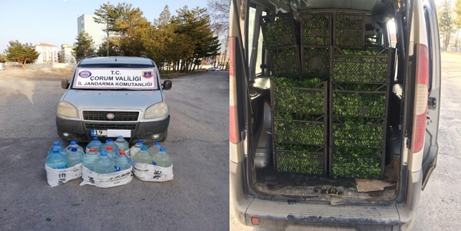 Çorum’da Kaçak İçki Ele Geçirildi