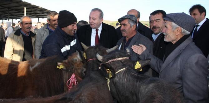 Hayvan Pazarında Vatandaşı Dinledi