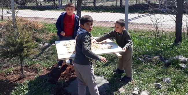 Kuşları Beslemek İçin Yaptılar