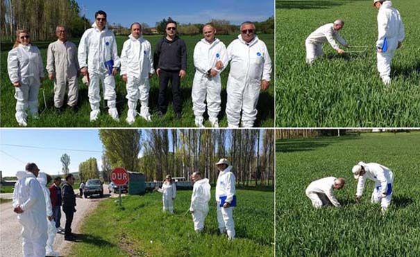 Sürvay Çalışmaları Başladı