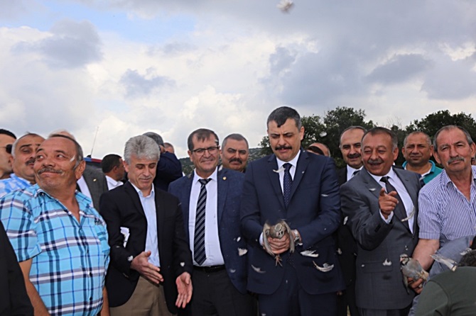 Çorum’da Bin 500 Keklik Doğaya Salındı