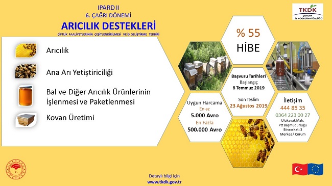 Arıcılık Sektörüne % 55 Hibe