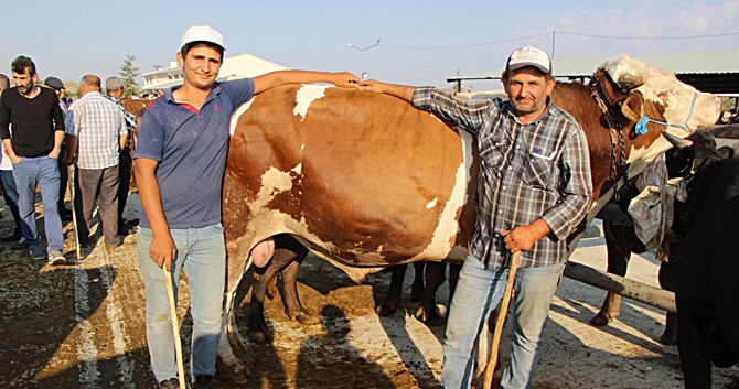 “Kocaoğlan” 20 Bin Liraya Alıcı Bekliyor