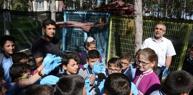 Öğrenciler Hayvanat Parkını Gezdi