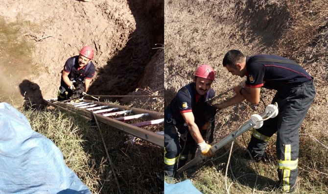 Düştüğü Kuyudan İtfaiye Kurtardı