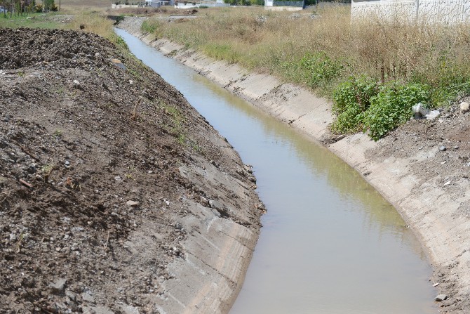 Dereler Temizleniyor