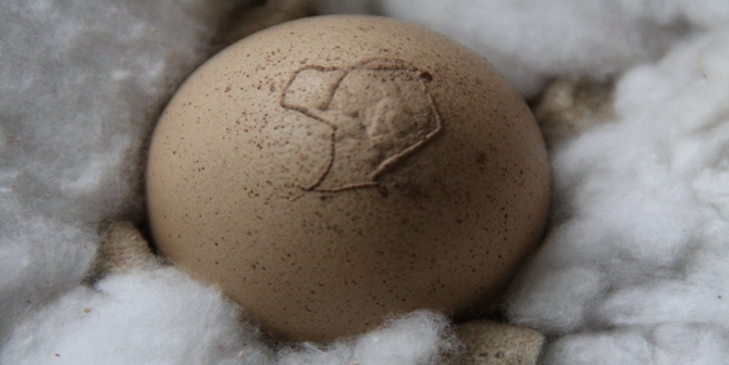 Bu Yumurtayı 40 Yıldır Saklıyor