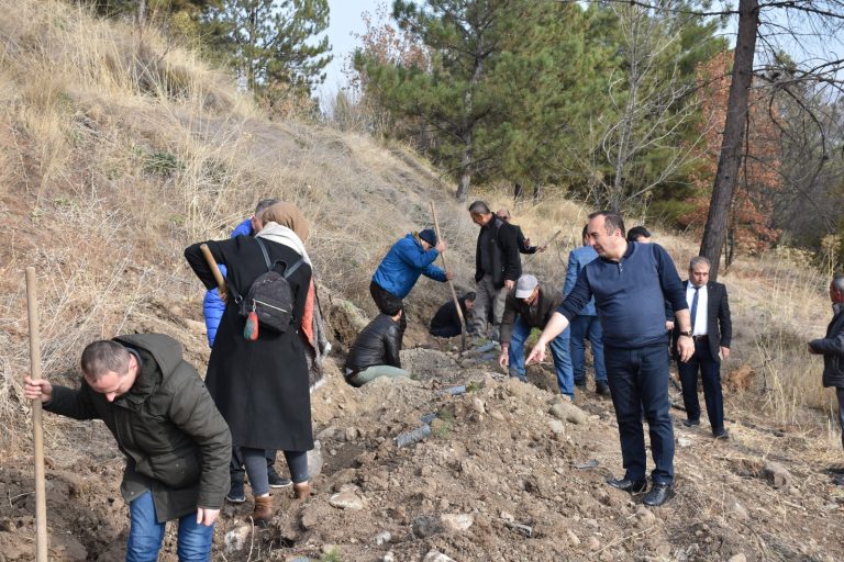 Başkan Sülük Fidan Dikti
