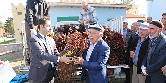 4 Bin Yıllık Bağlar Yeniden Hayat Buluyor